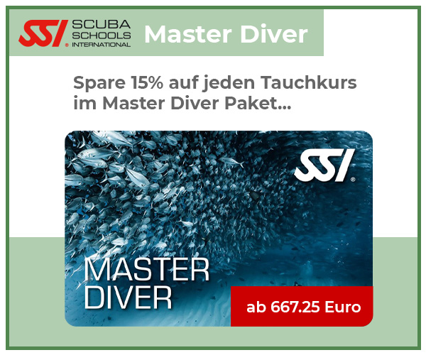 15% Rabatt auf jeden Tauchkurs im Master Diver Paket